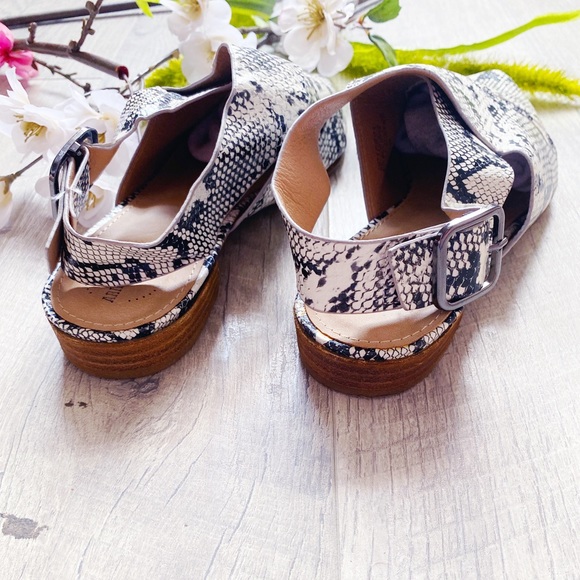 A Rider Girl slingback snake print pointed flats - Picture 7 of 11